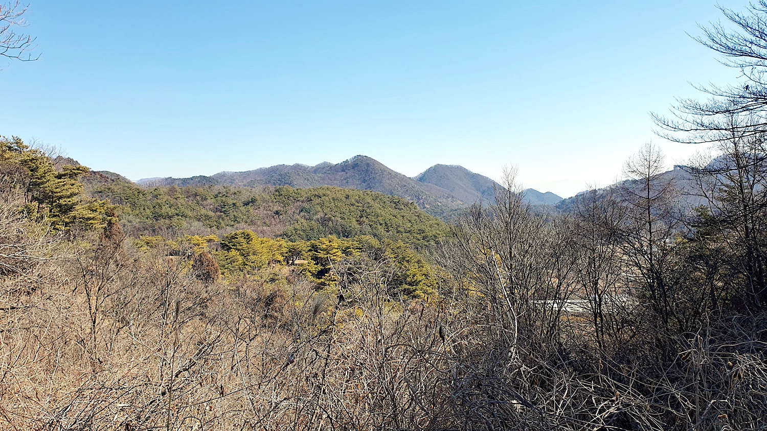 필봉 대장산 △(영월314) 구진산 보인산 (제천) - 정기산행 후기/사진 - 뉴서울마운틴클럽 필봉 대장산 △(영월314) 구진산 보인산 (제천)