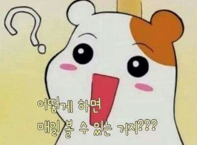 쭌 이미지