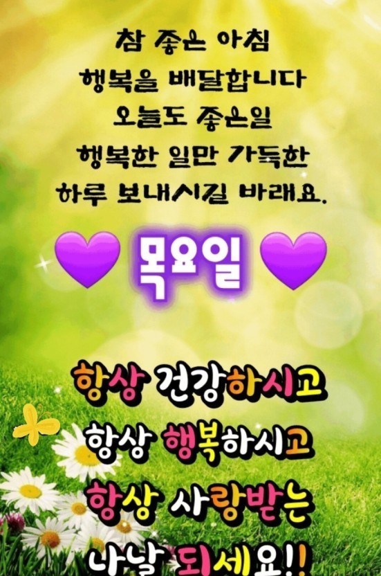 봄날,꽃 이미지