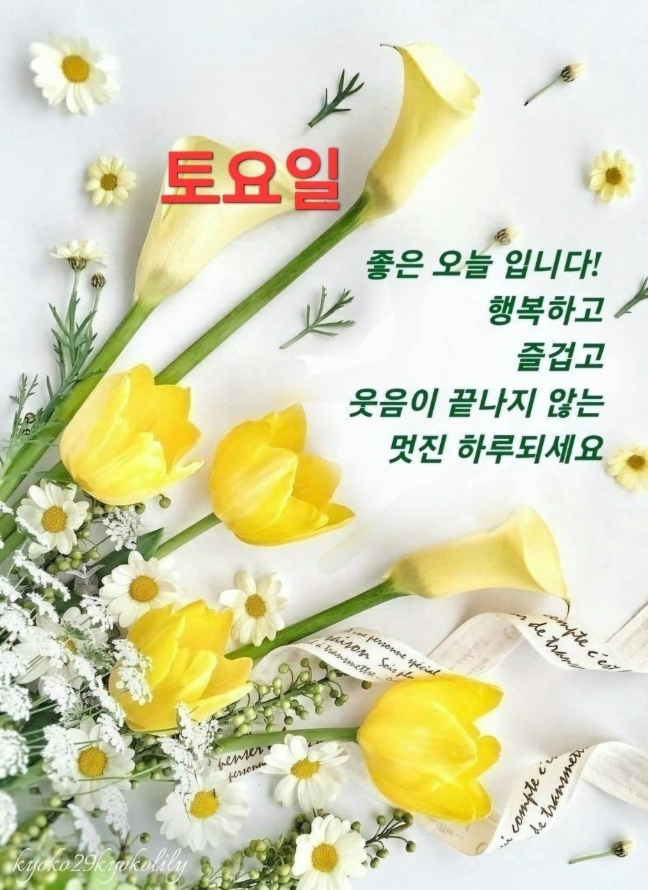토요일 이미지