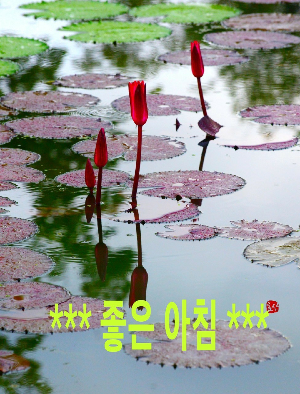 행복출발 이미지