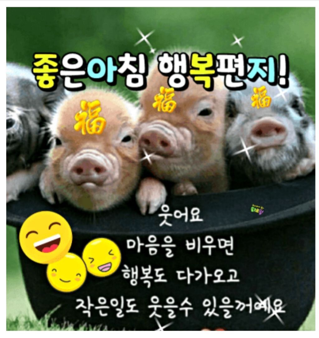웃으면복돼지 이미지