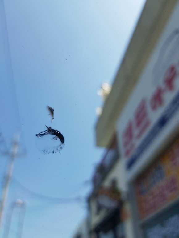 거제자동차유리 이미지