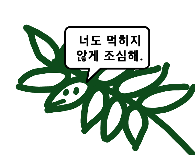 아마 본 적이 없을 특이한 식물 30종 | 인스티즈