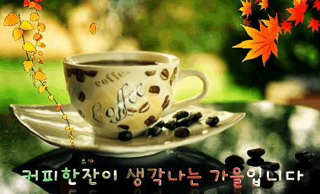 연이한이 이미지
