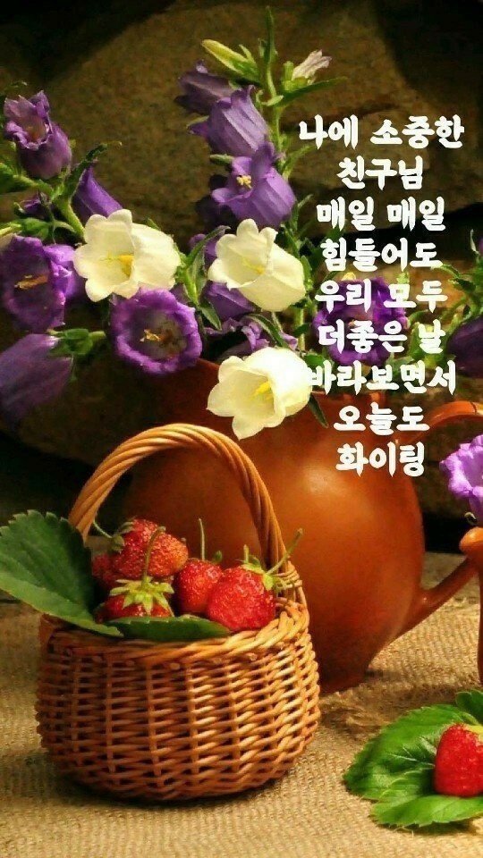 힘내시게 이미지