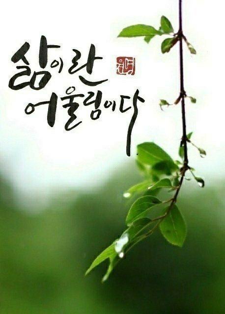 연이한이 이미지