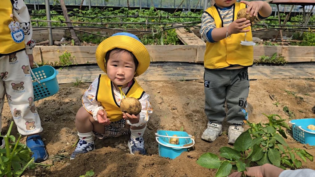 킹콩이농장 이미지