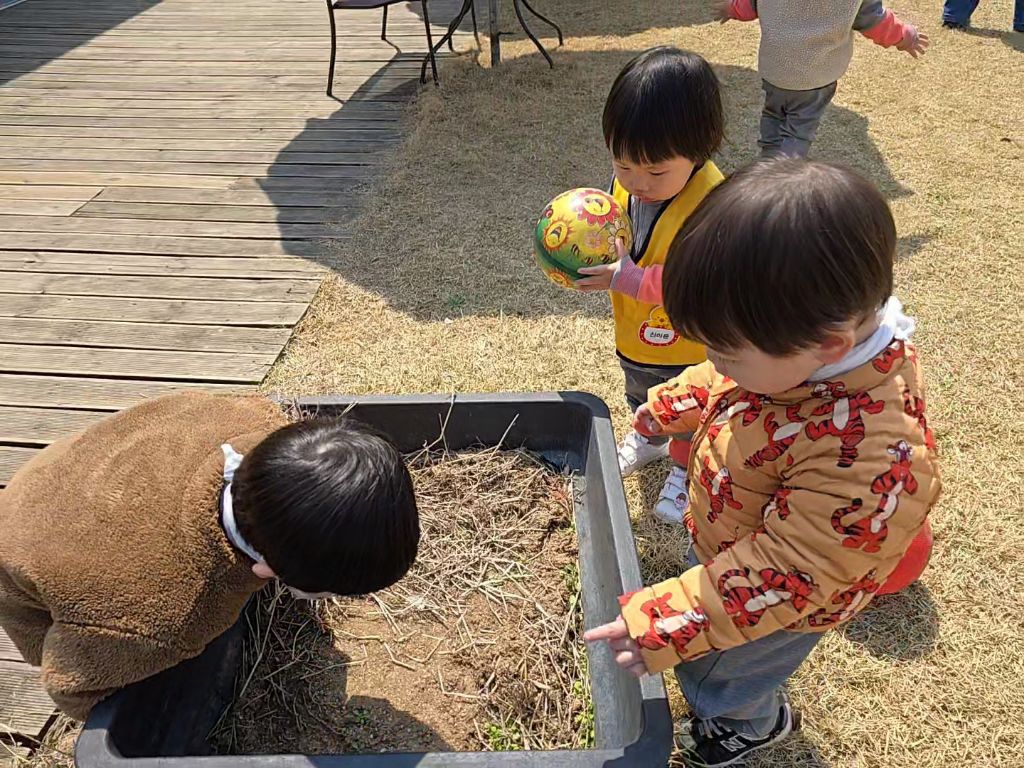 킹콩이농장 이미지