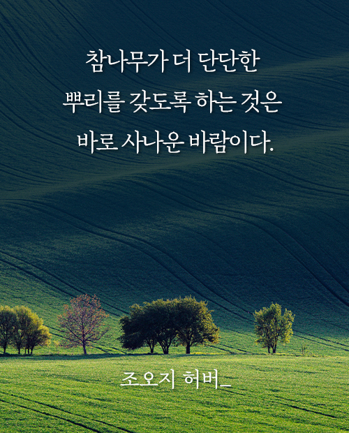 더뿌리 이미지