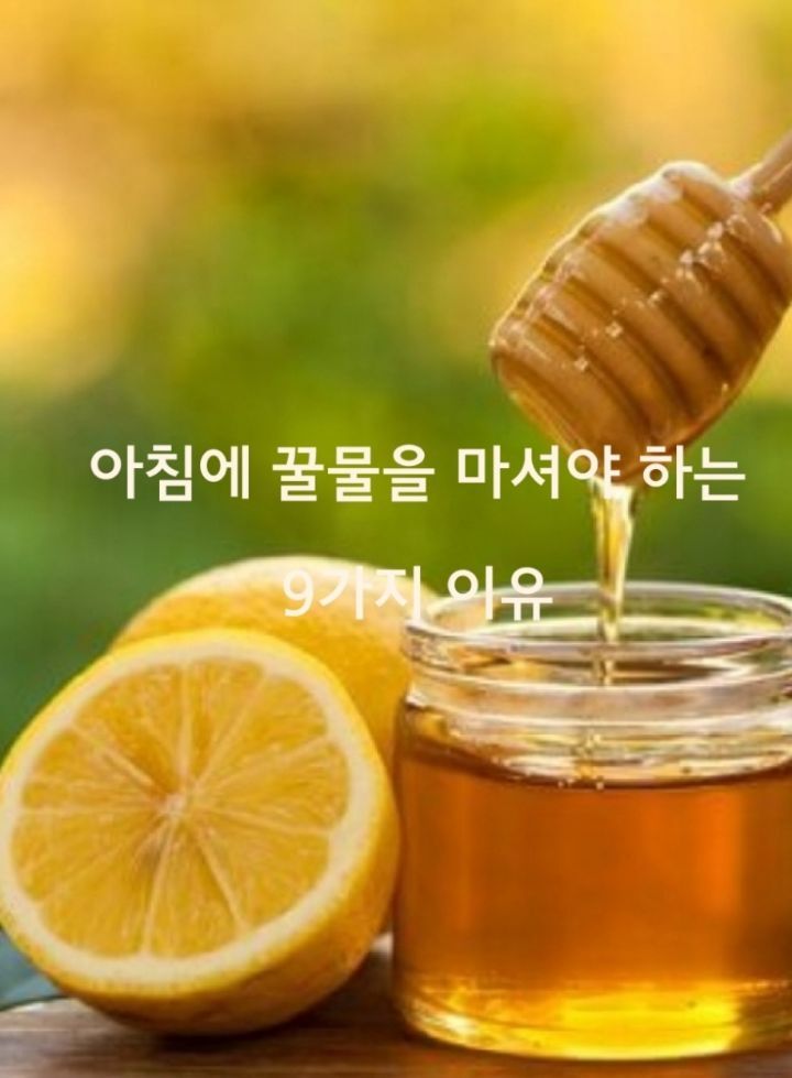 마시야 이미지