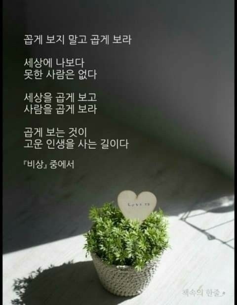 다독임 이미지