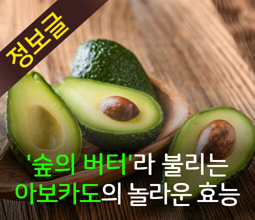 버터숲 이미지