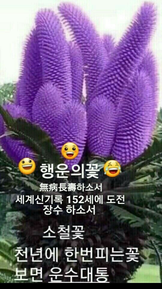 당신은참;예쁜꽃 이미지