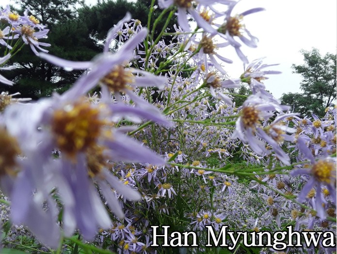 구월의정원 이미지