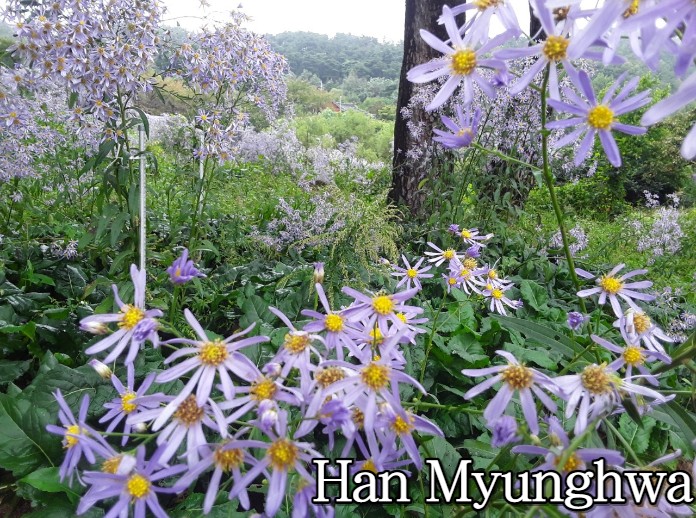구월의정원 이미지