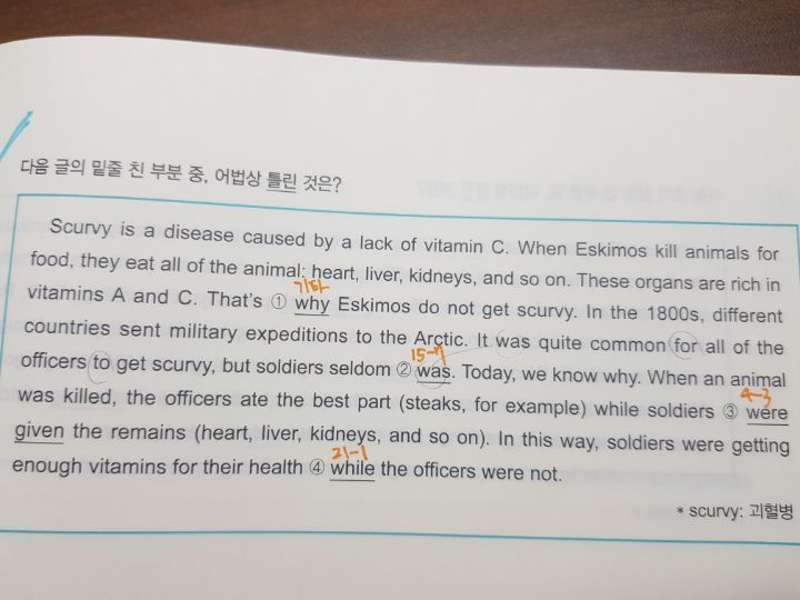 대동사 이미지