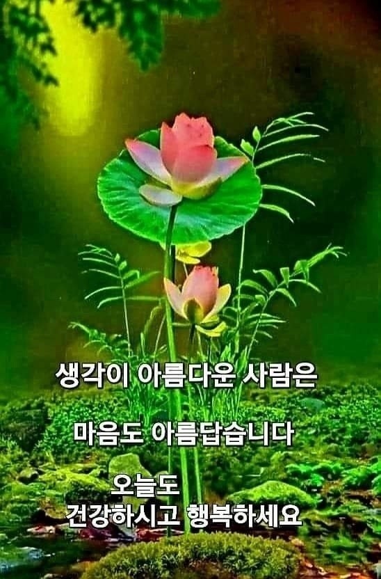 (주)사람과사람사이 이미지