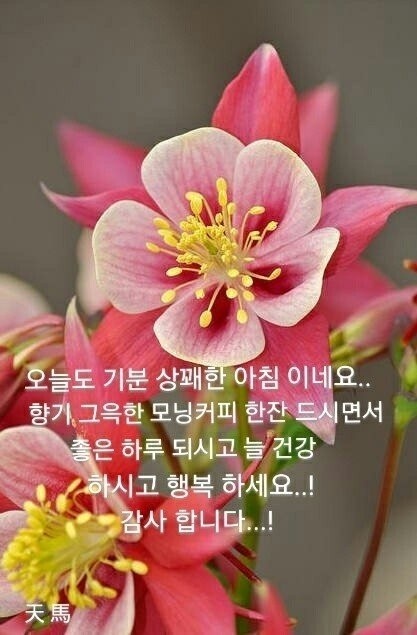 행복한하루 이미지