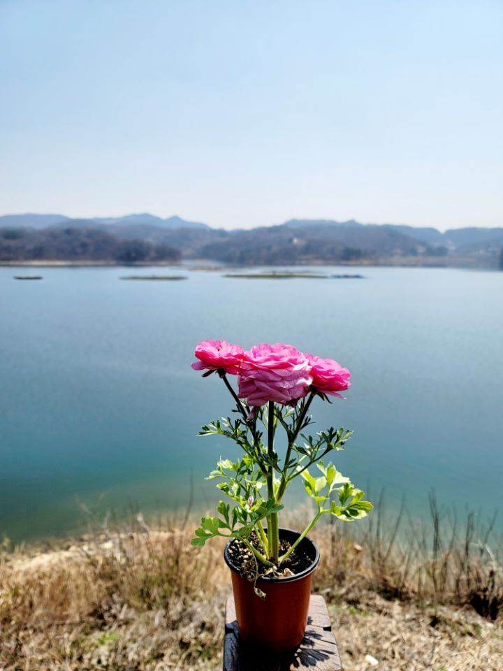 더대청호 이미지