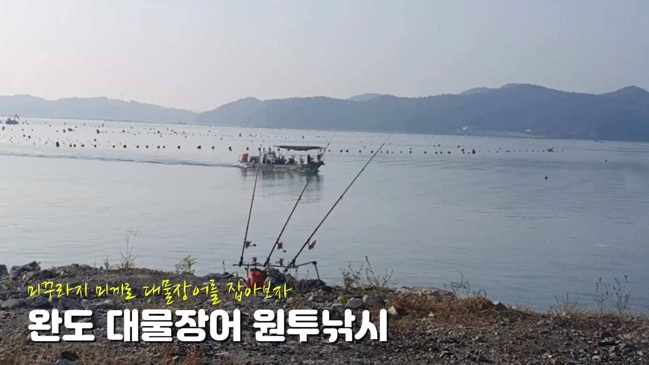 장어와미꾸라지 이미지