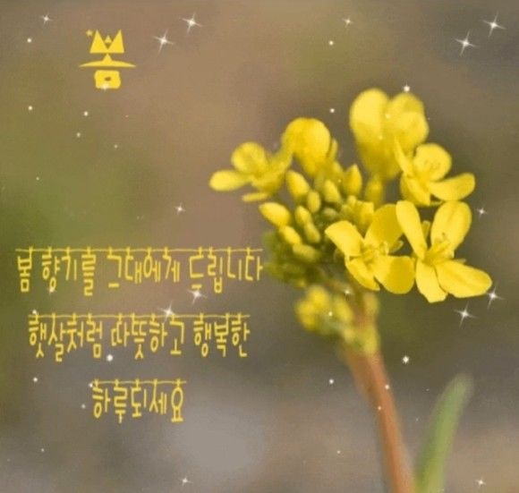 행복한하루 이미지