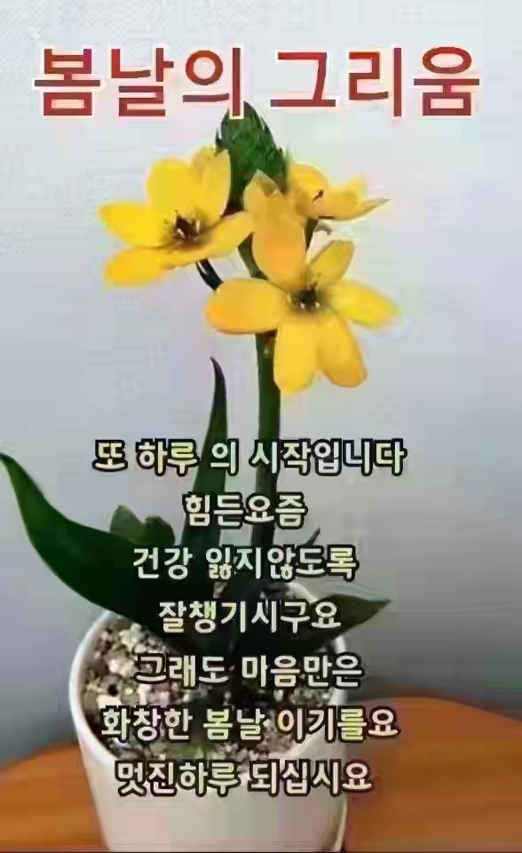 행복한하루 이미지