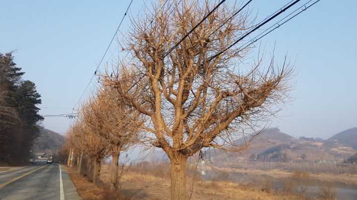 큰목골낚시터 이미지
