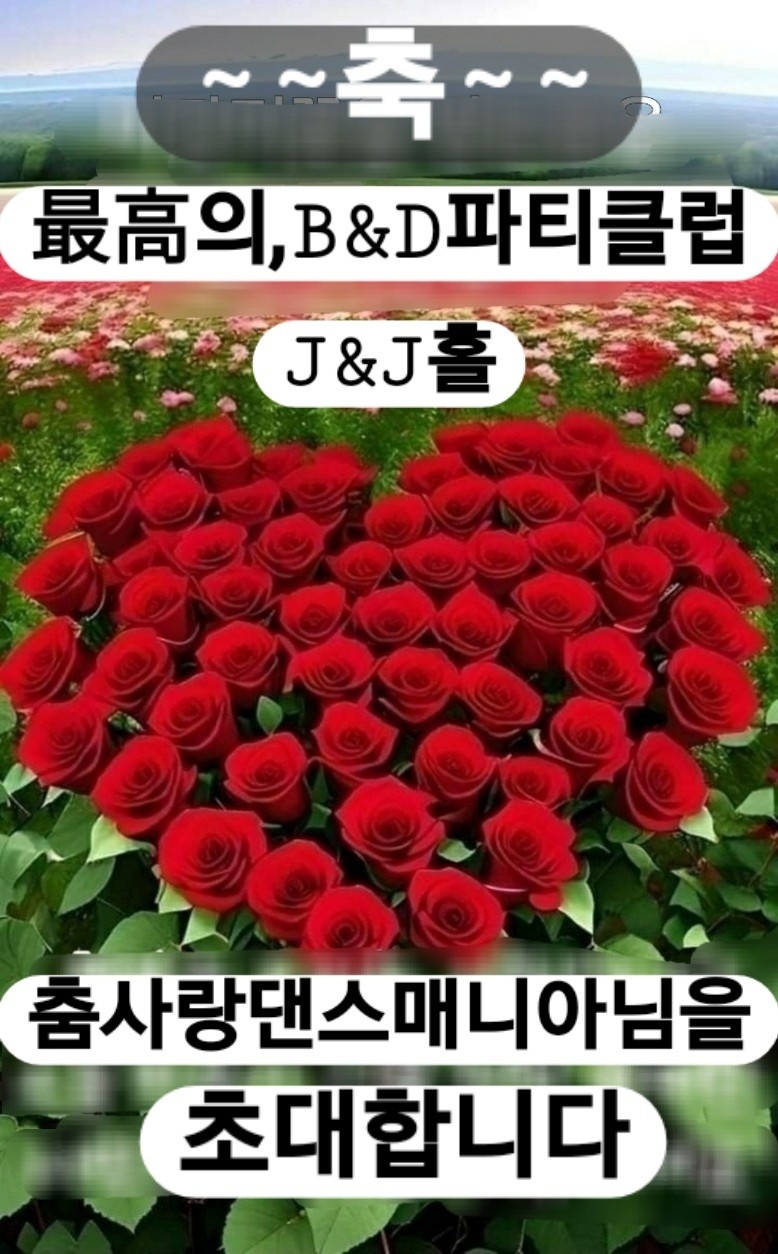 비앤디 이미지