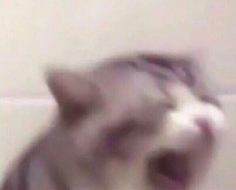 시청자들이 더 풀어달라고 애원하는 아일랜드 반미호(김남길 이다희) 서사.gif | 인스티즈