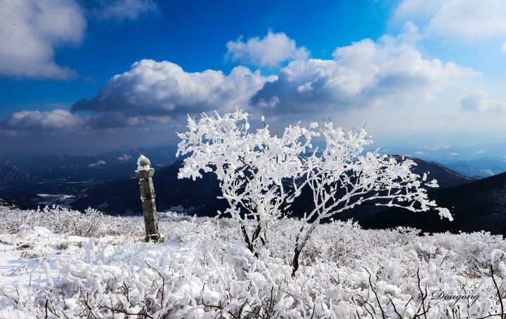 설화 이미지