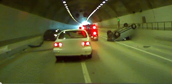 렉카충에 대한 이미지 검색결과