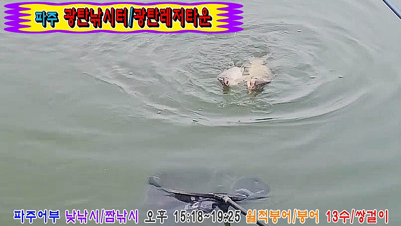 광탄레저타운 이미지