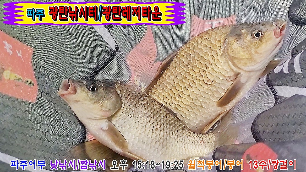 광탄레저타운 이미지