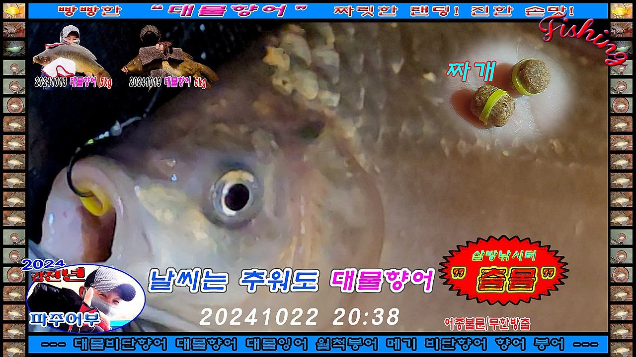 안녕;붕어야 이미지