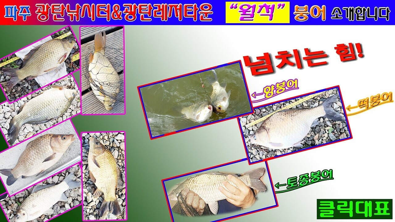 광탄레저타운 이미지