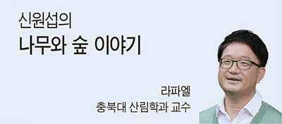 나무와숲 이미지
