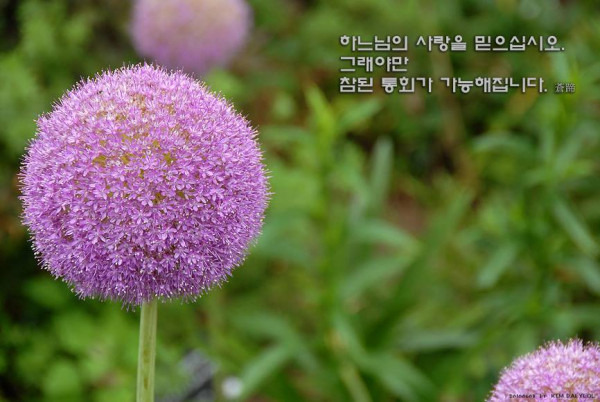 스케치북 이미지