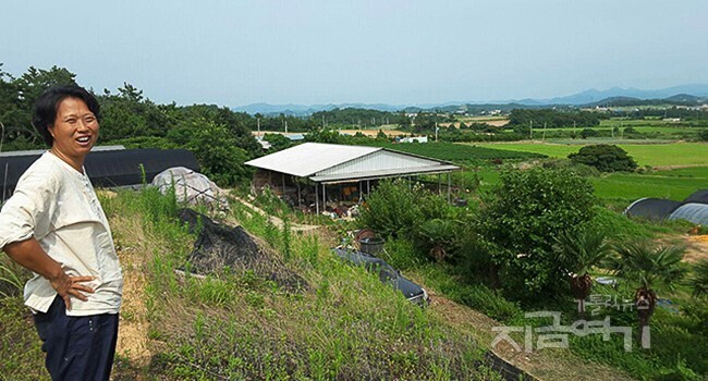 우리농 이미지