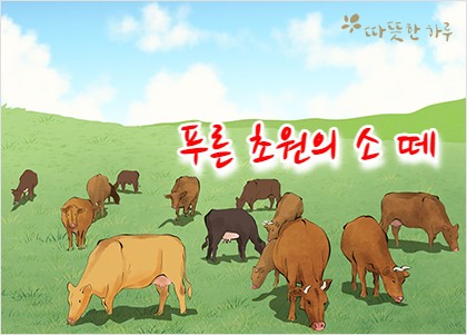 초원의언덕 이미지