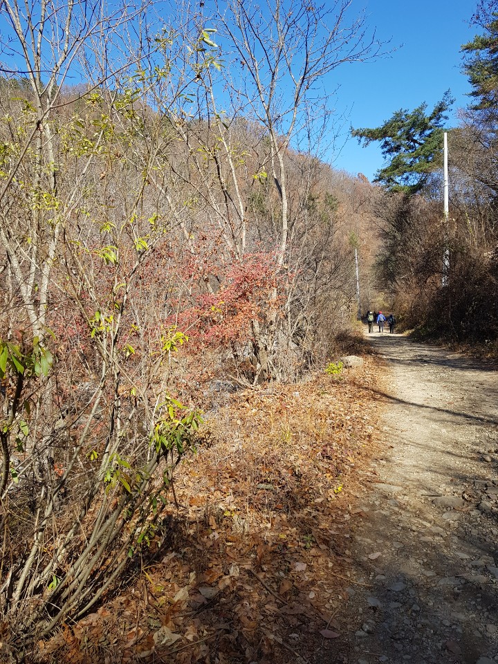 오지티 이미지