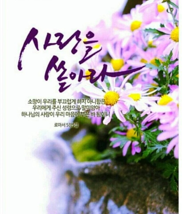 내일또오리 이미지