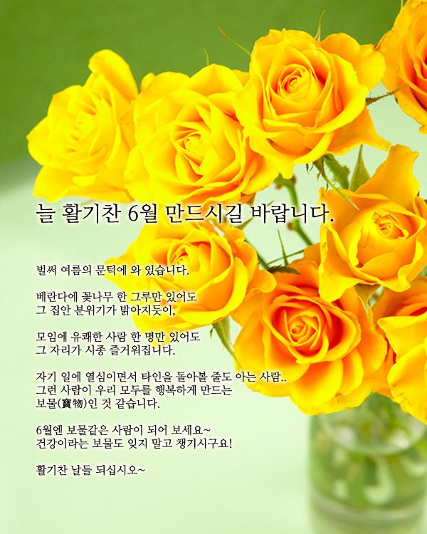 타타타 이미지
