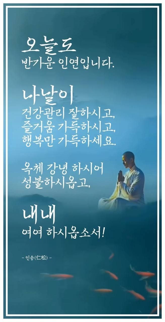 아랑고고 이미지