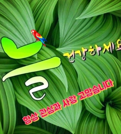 장호 이미지