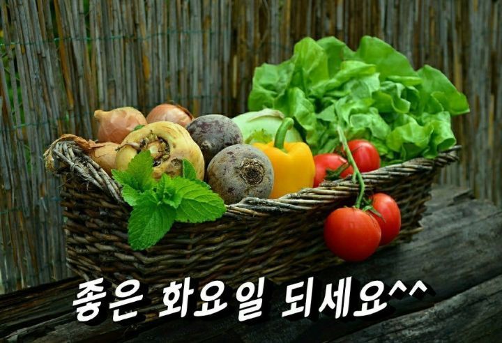 삼복주유소 이미지