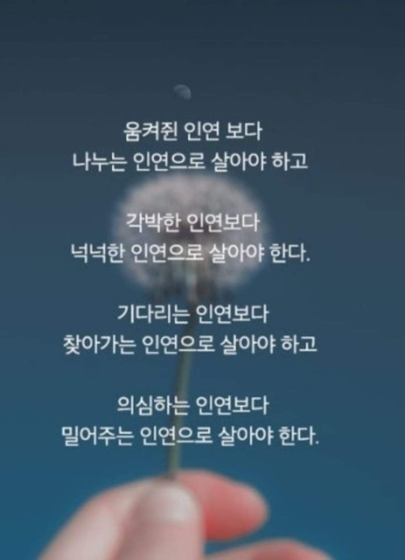 황금날개 이미지