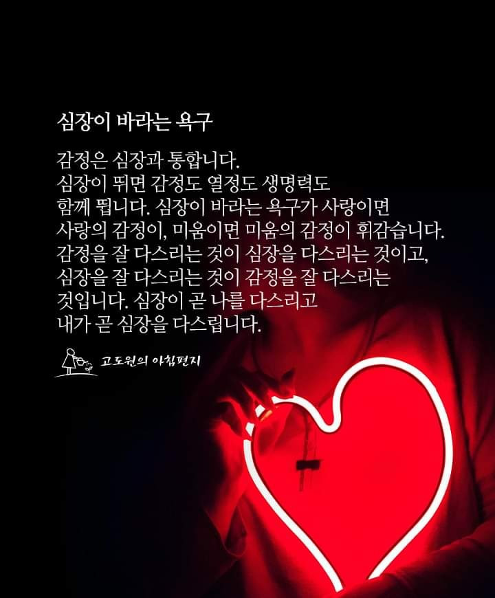 황금날개 이미지
