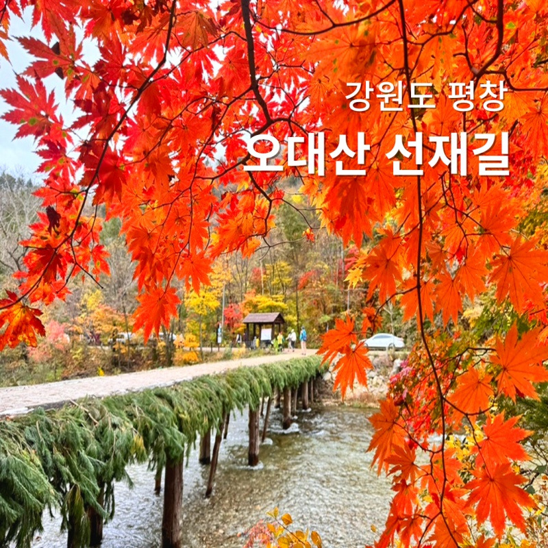 행복양말 이미지