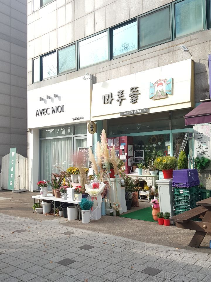 상록자이언트 이미지